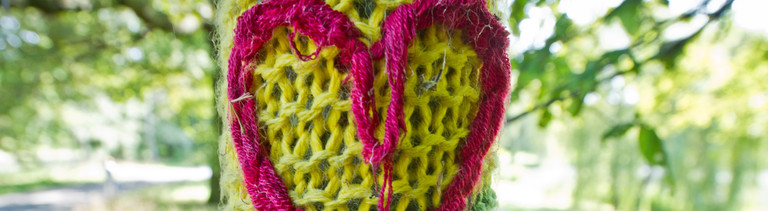 Suchergebnisse Dlf Nova