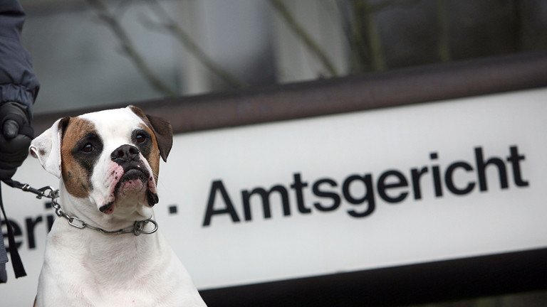 Hund vor Gericht