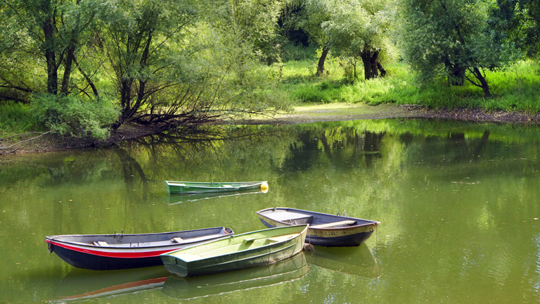 Boote in der Siegaue