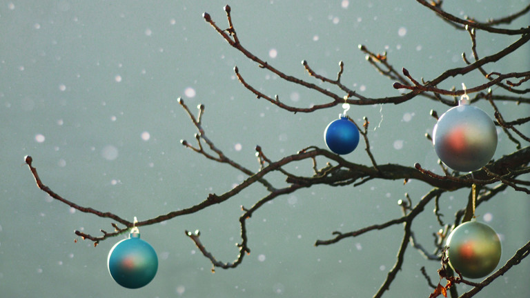 Redaktionskonferenz Weihnachtsbaume Schmerzempfinden Ungleichheitsbericht Dlf Nova