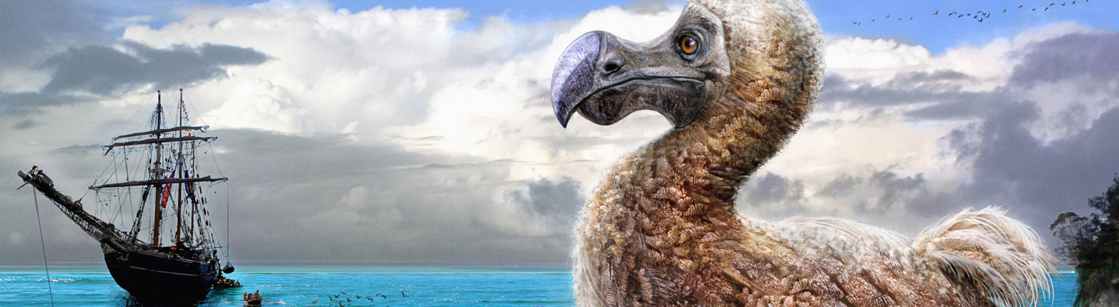 Dodo Ausgestorbene Riesentaube Auf Mauritius Dlf Nova