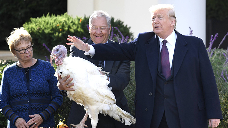 Donald Trump hält die Hand über einen Truthahn an Thanksgiving 2018