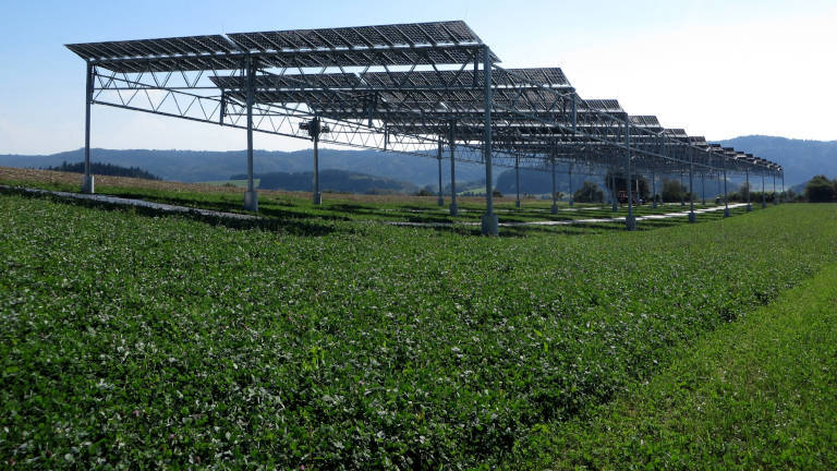 Eine Agri-Photovoltaik-Anlage auf einem Feld