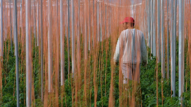 Mann steht in Gewächs Haus.