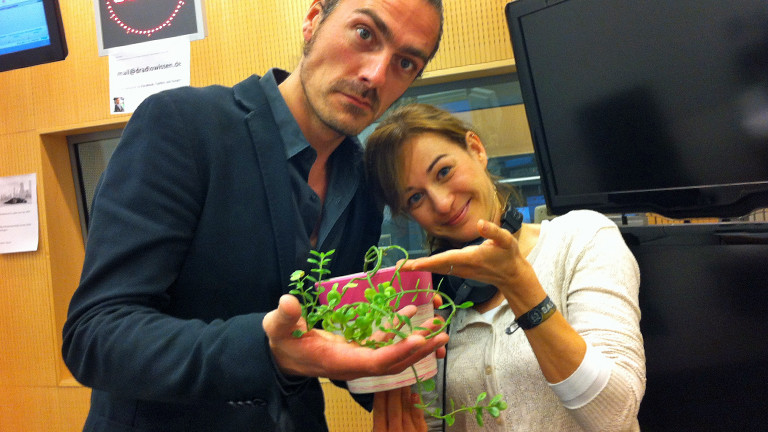 Am 01.09.2014 präsentieren Till Haase und Anna Kohn eine etwas krümelige Pflanze.