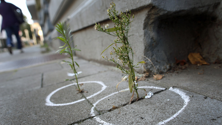 Pflanzen sind am 03.09.2014 in Düsseldorf mit Kreide eingezeichnet.