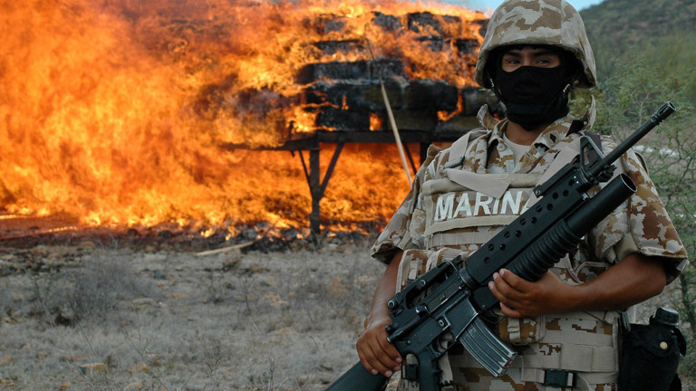 fgsdfEin mexikanischer Marine-Soldat setzt sieben Tonnen Marihuana in Flammen am 10.07.2009.