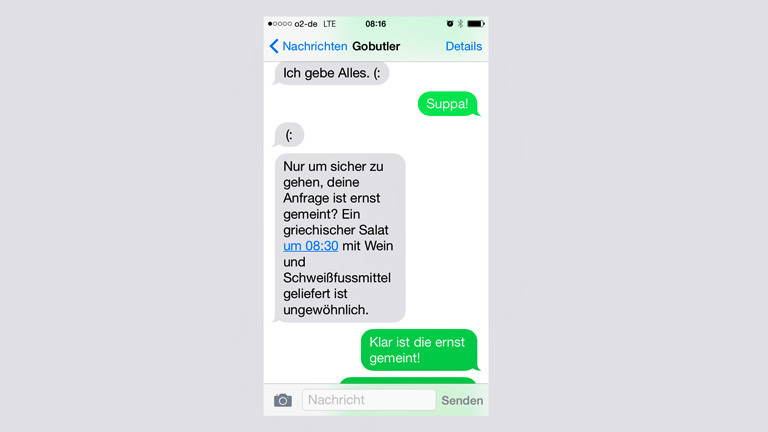 Screenshot eines Chats zwischen Martina Schulte und GoButler.