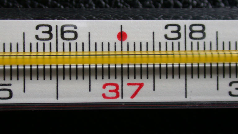 Ein Fieberthermometer