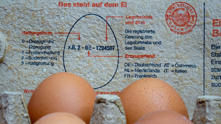In einem Eierkarton liegen Eier. Auf dem Innendeckel steht eine Information zur Kennzeichnung der Eier; Foto: dpa