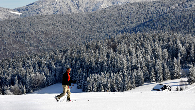 Ein Mann geht in einer Winterlandschaft im Schwarzwald spazieren.