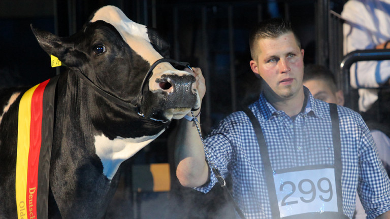Landwirt Henrik Wille und seine Kuh "Lady Gaga" präsentieren sich am 11.06.2015 bei der Deutschen Holstein-Schau in Oldenburg (Niedersachsen) dem Publikum.