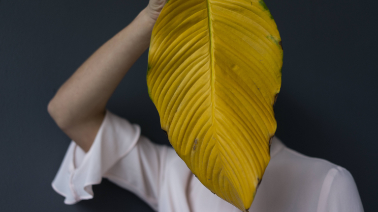 Eine Frau verbirgt sich hinter einem Blatt