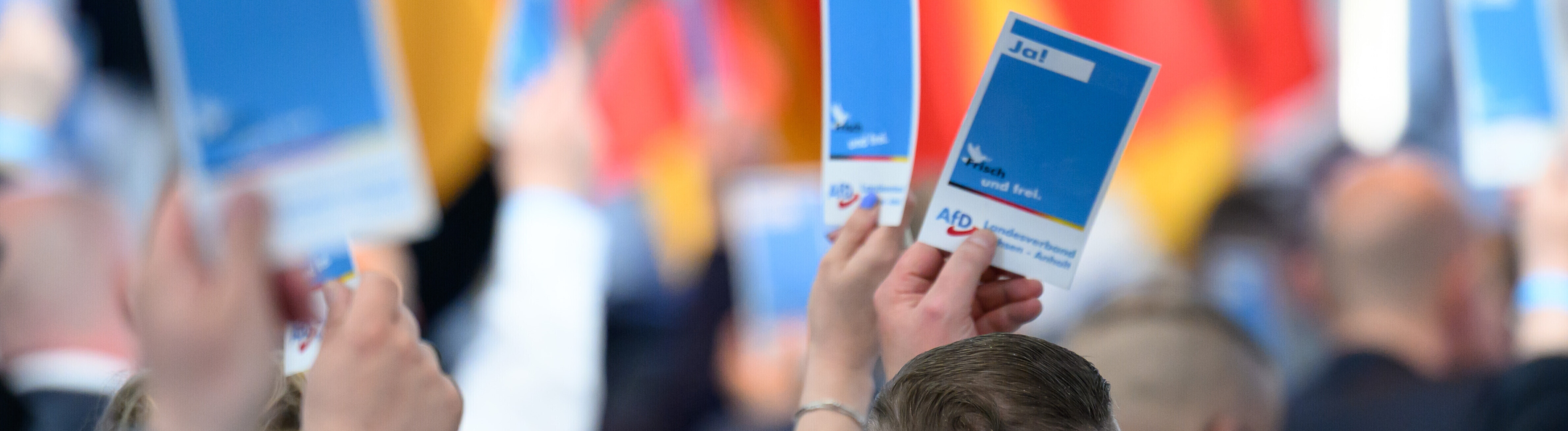 Delegierte stimmen auf dem Landesparteitag der AfD Sachsen-Anhalt in Magdeburg ab und halten Stimmkarten der AfD in die Höhe.