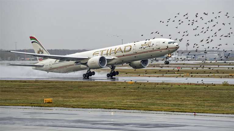 Gefährlicher Schwarm: Flugzeug beim Start in Frankfurt