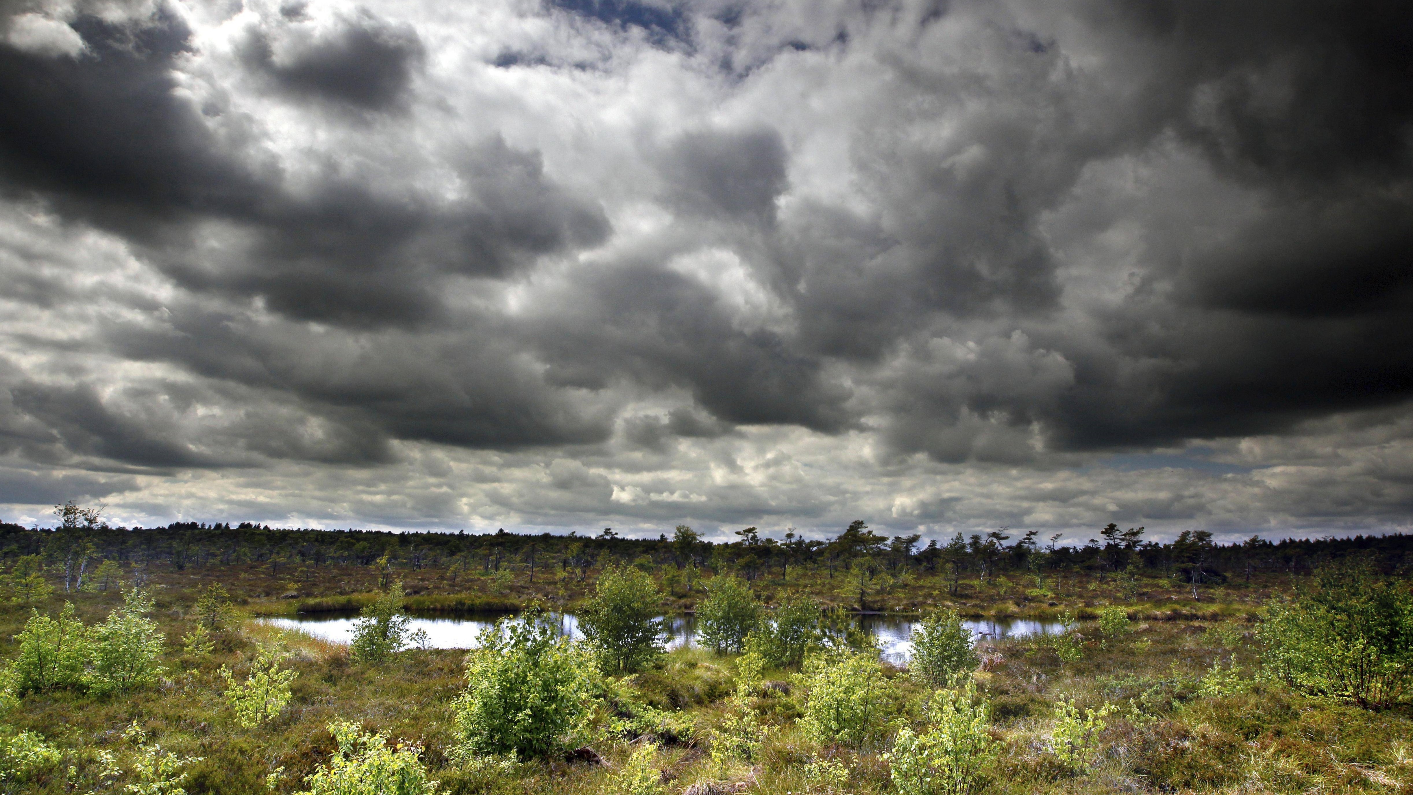Moorauge, dramatische Moorlandschaft Schwarzes Moor, Hochmoor auf der Hochrhön, aufgewölbtes Regenmoor