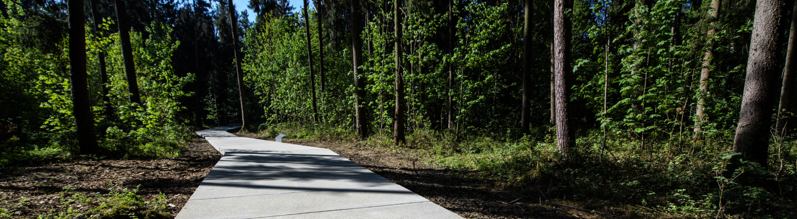 27.04.2018, Bayern, Waldkraiburg: Ein Weg führt durch den Gedenkort «Waldlager» an der KZ-Gedenkstätte bei Waldkraiburg. Die Gedenkorte «Waldlager» und «Massengrab» zur Erinnerung an die Opfer der KZ-Außenlager im Mühldorfer Hart sind ab diesem Tag für die Öffentlichkeit zugänglich.