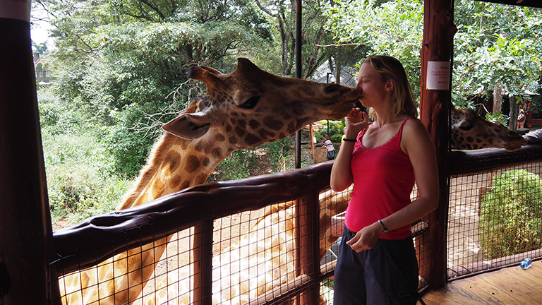 Schon mal von einer Giraffe geküsst worden?