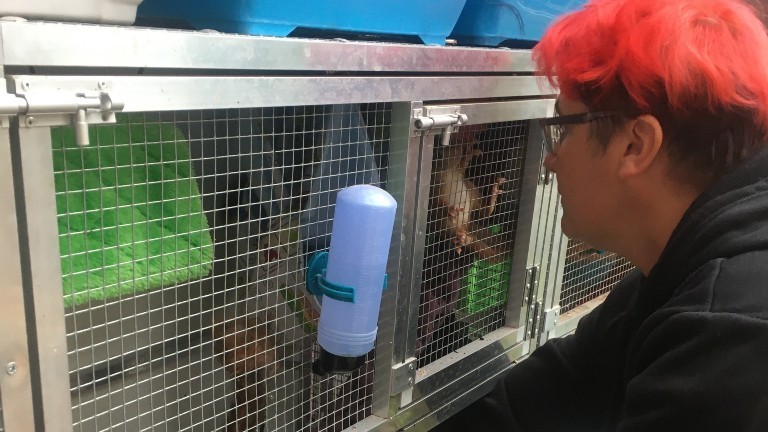Monika Pfister an einem ihrer Wildtierkäfige