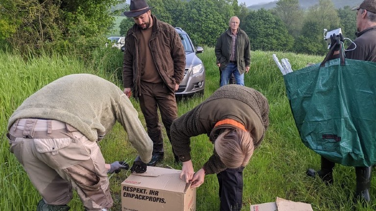 Ehrenamtliche packen Rehkitze in eine Kiste