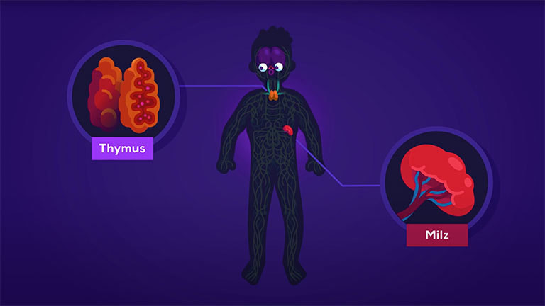 Screenshot aus dem Youtube-Video "Das Immunsystem erklärt" von Kurzgesagt