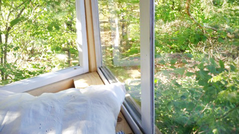 Blick aus einem Baumhausfenster