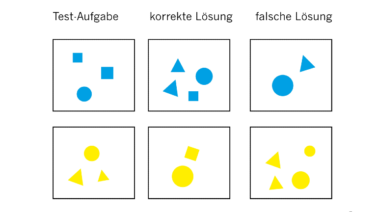 Rechenaufgaben für Fische