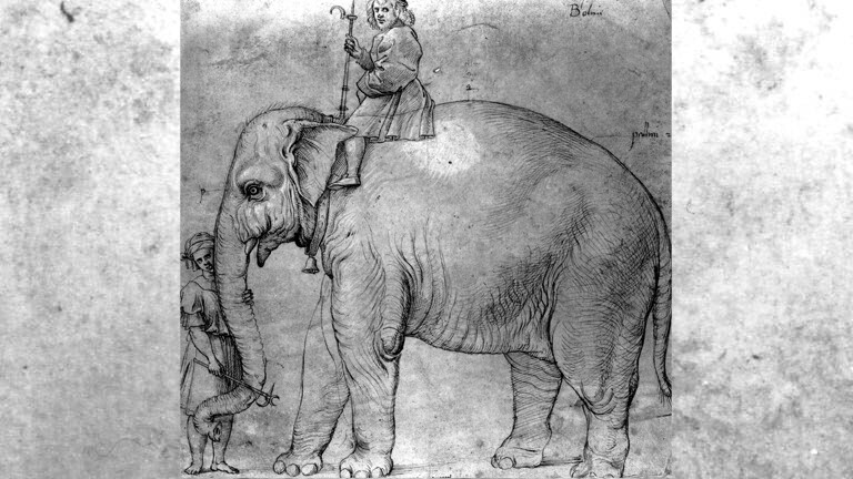 Der indische Elefant Hanno, der dem Papst Leo X. 1513 vom portugiesischen König Emanuel geschickt wurde; Zeichnung von Raphael