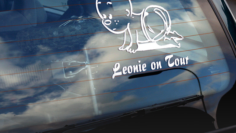 Der Schriftzug "Leonie on Tour" auf der Heckscheibe eines PKW.