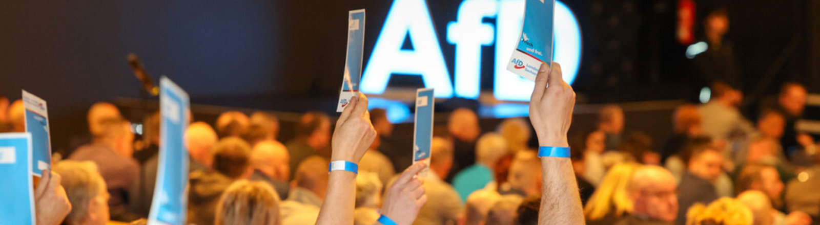 Delegierte stimmen beim AfD-Parteitag ab.