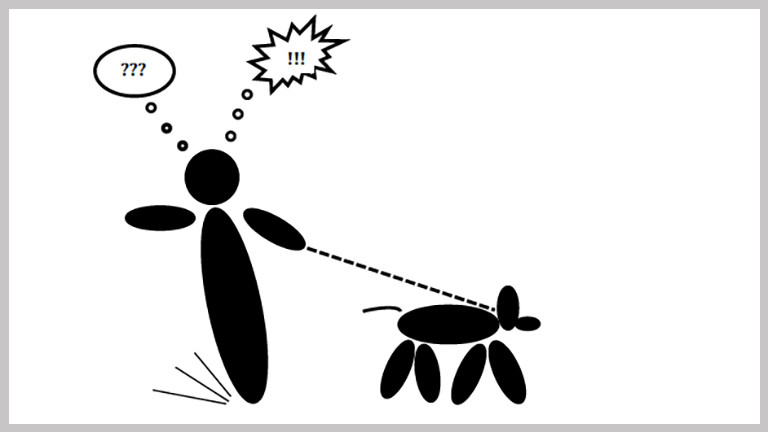 Genderneutrales Piktogramm: Eine menschliche Figur mit einem Hund an der Leine