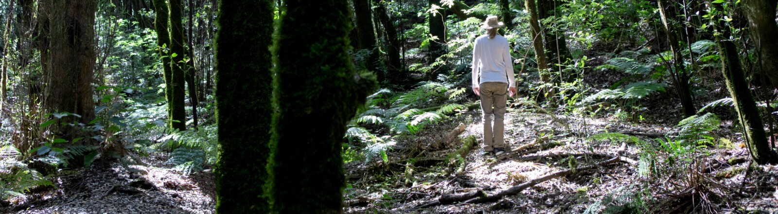 Ein Mann steht in einem Wald. Der Mann ist in Weiß gekleidet und trägt einen Hut. Wir sehen ihn von hinten.