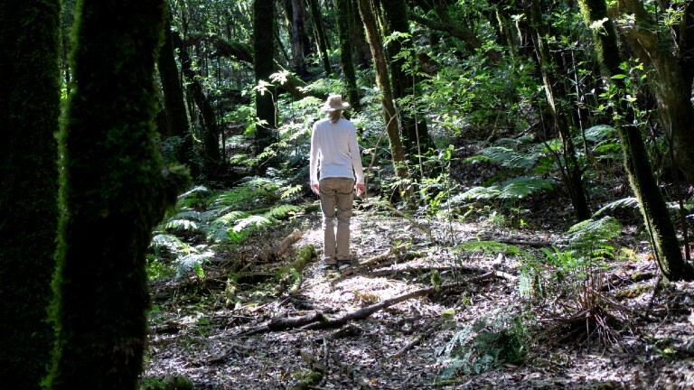 Ein Mann steht in einem Wald. Der Mann ist in Weiß gekleidet und trägt einen Hut. Wir sehen ihn von hinten.