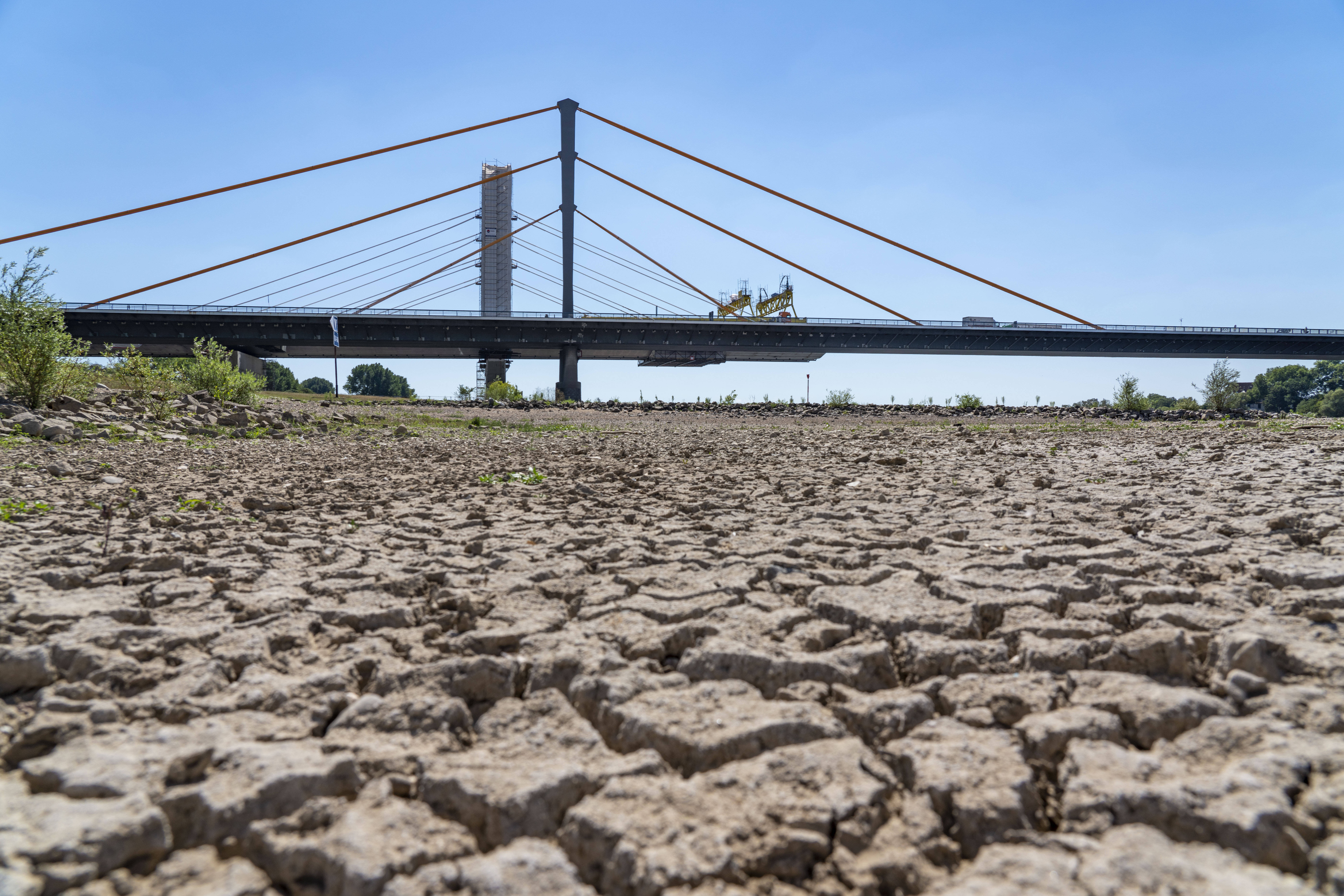 In Duisburg hat der Rhein im Sommer 2022 extremen Niedrigstand. Das rechte Rheinufer ist vertrocknet, im Hintergrund ragt eine Rheinbrücke in den blauen Himmel.
