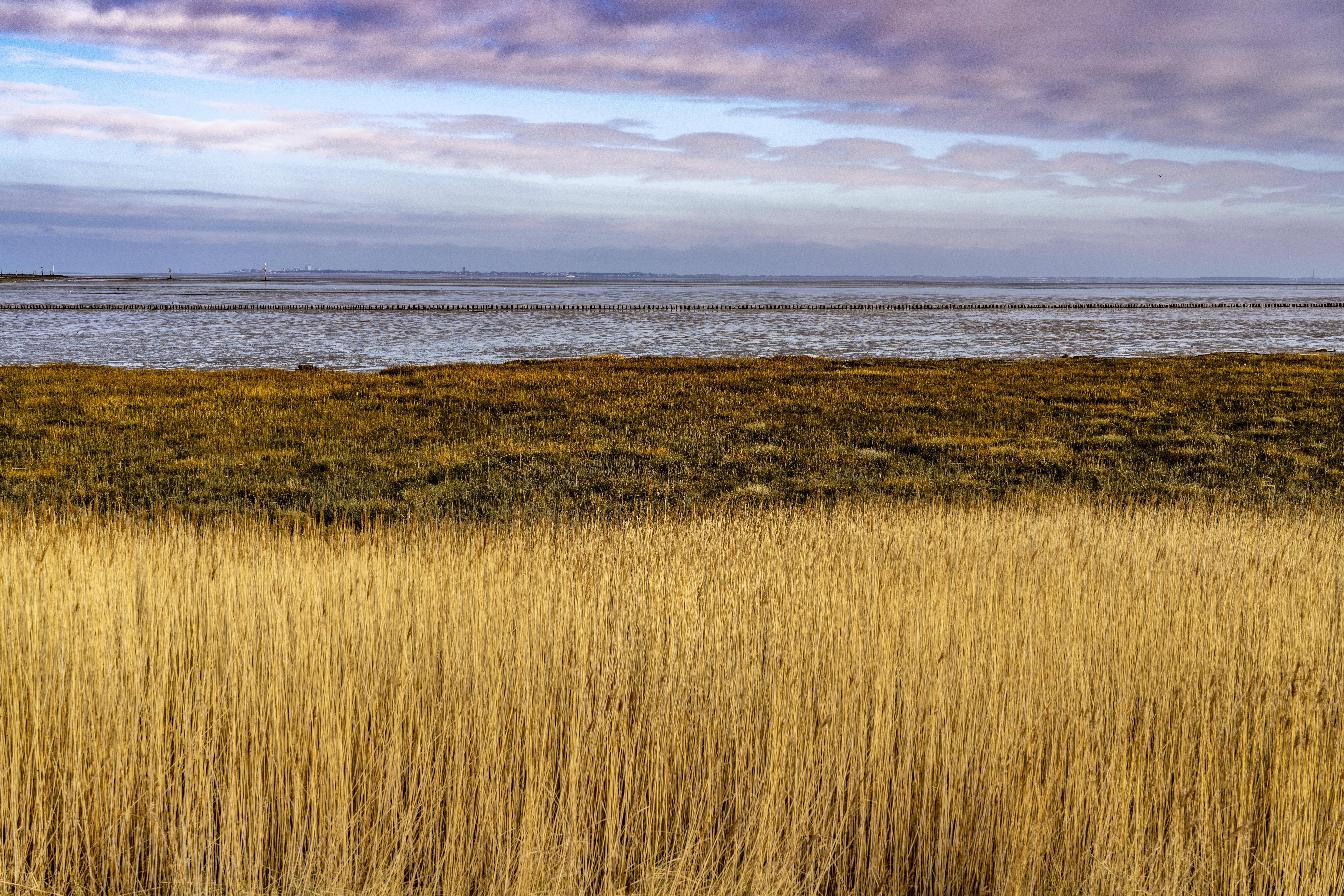 Das Wattenmeer, Ostfriesland, bei Niedersachsen, Blick zur Insel Norderney, Norddeich, Deutschland Wattenmeer
