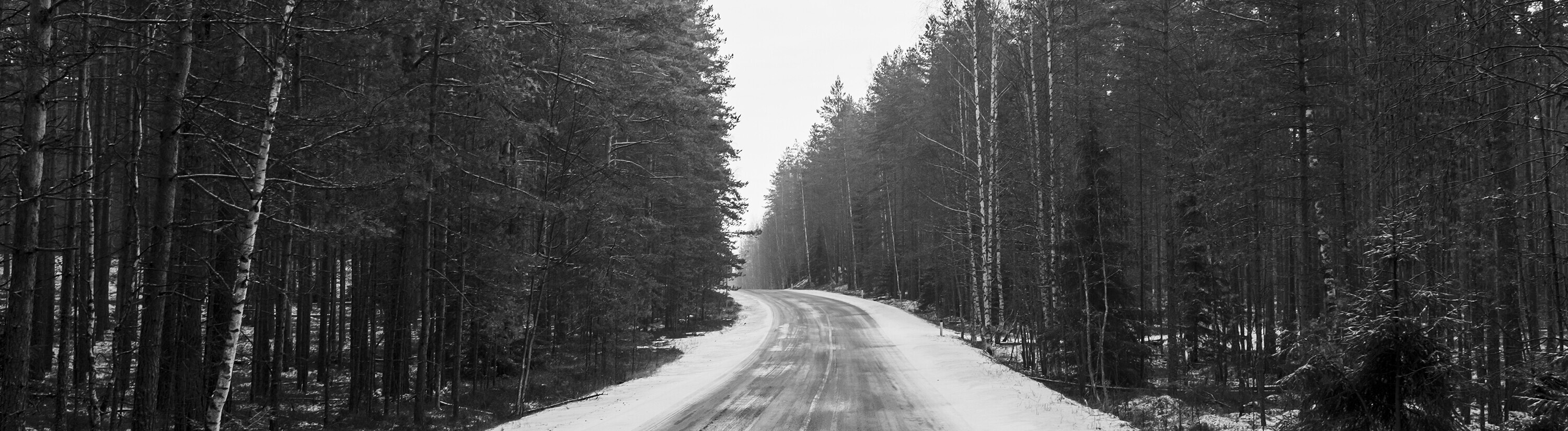 Eine verschneite Landstraße führt durch einen Wald.