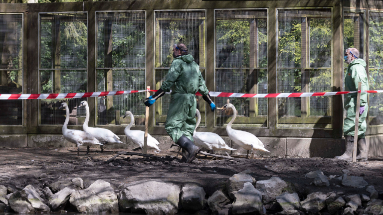 Vogelgrippe-Einsatz in der Pflegestation für Greif- und Wasservögel Paasmühle