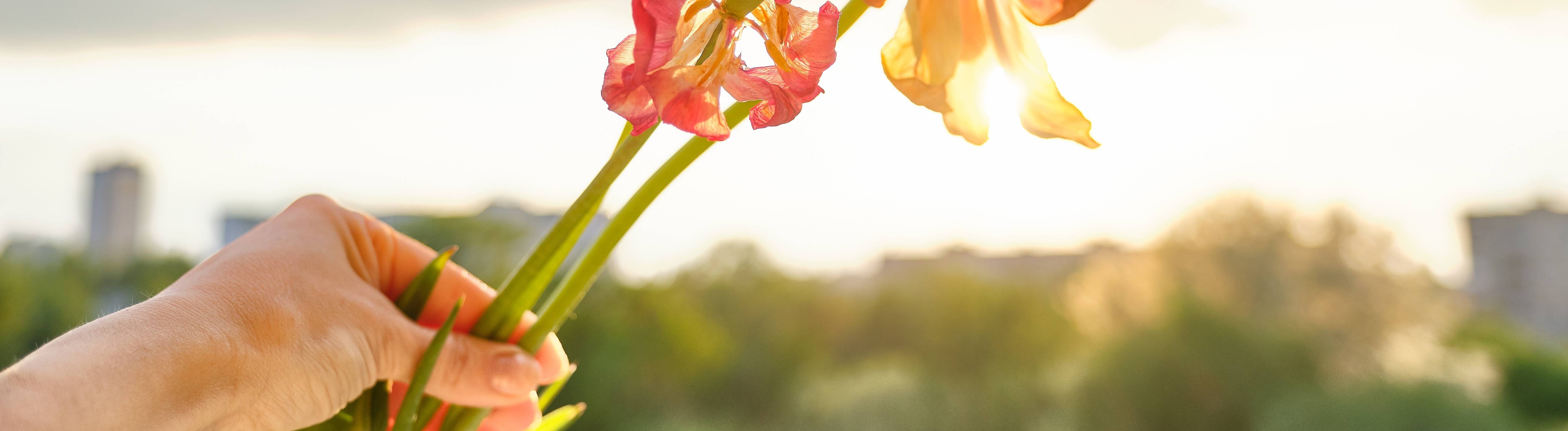 Eine Frau hält Blumen in der Hand