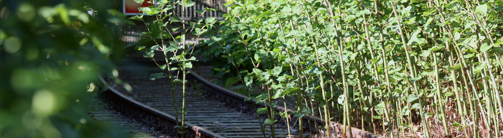 Bahn auf dem Abstellgleis