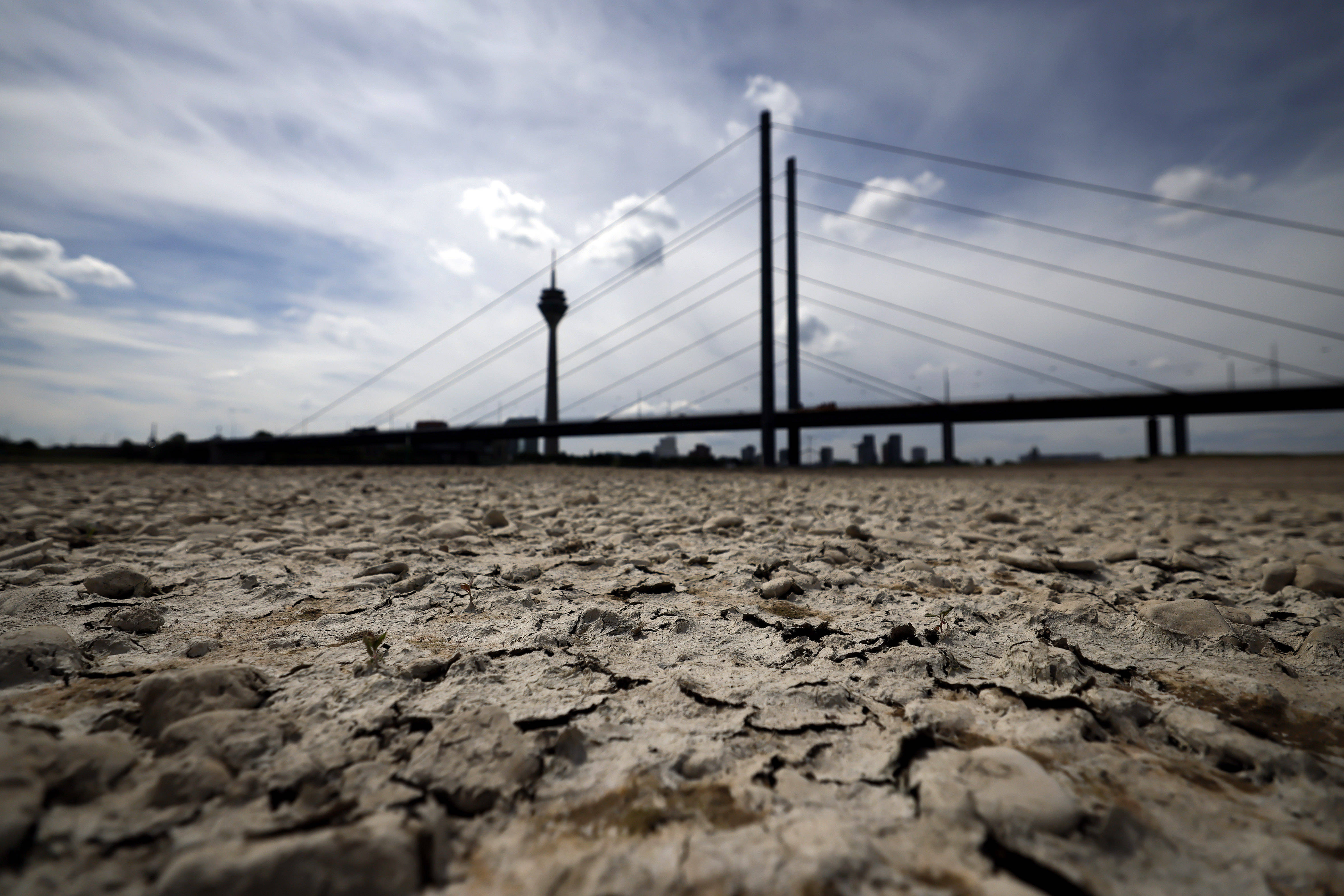 Der Rhein bei Düsseldorf. Aufgrund von Trockenheit liegt das Flussbett an vielen Stellen trocken.