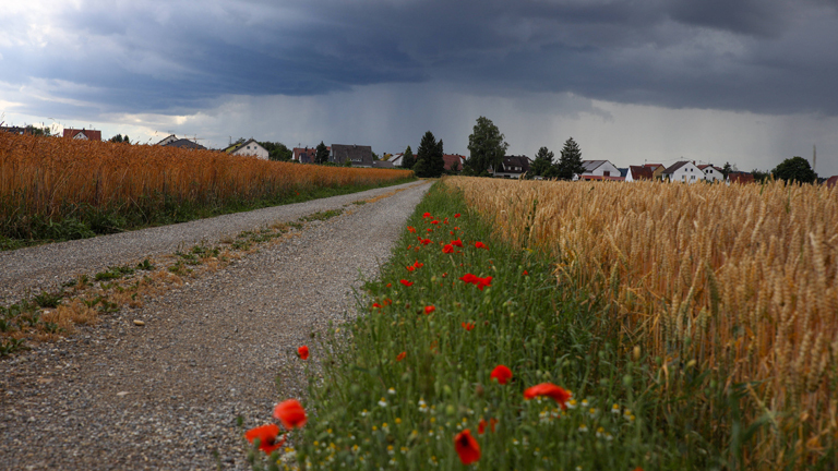 Dunkle Wolken ziehen kurz vor einem Gewitter über dem schwäbischen Landkreis Neu-Ulm in Bayern auf.