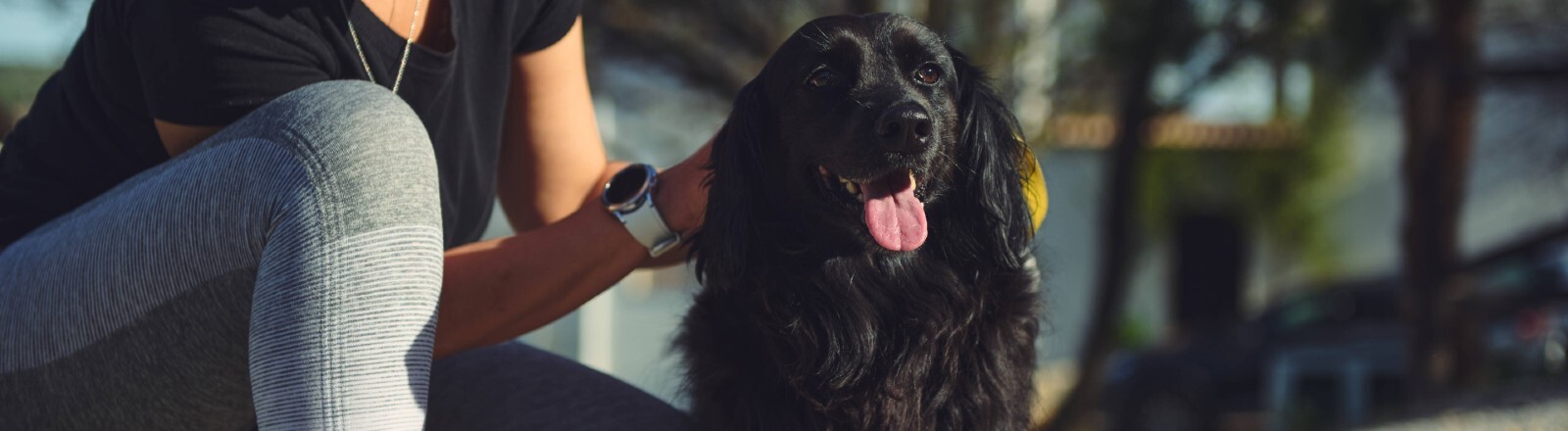 Eine junge Frau ist draußen spazieren und in einer Hocke. Sie streichelt einen Hund, der neben ihr steht.