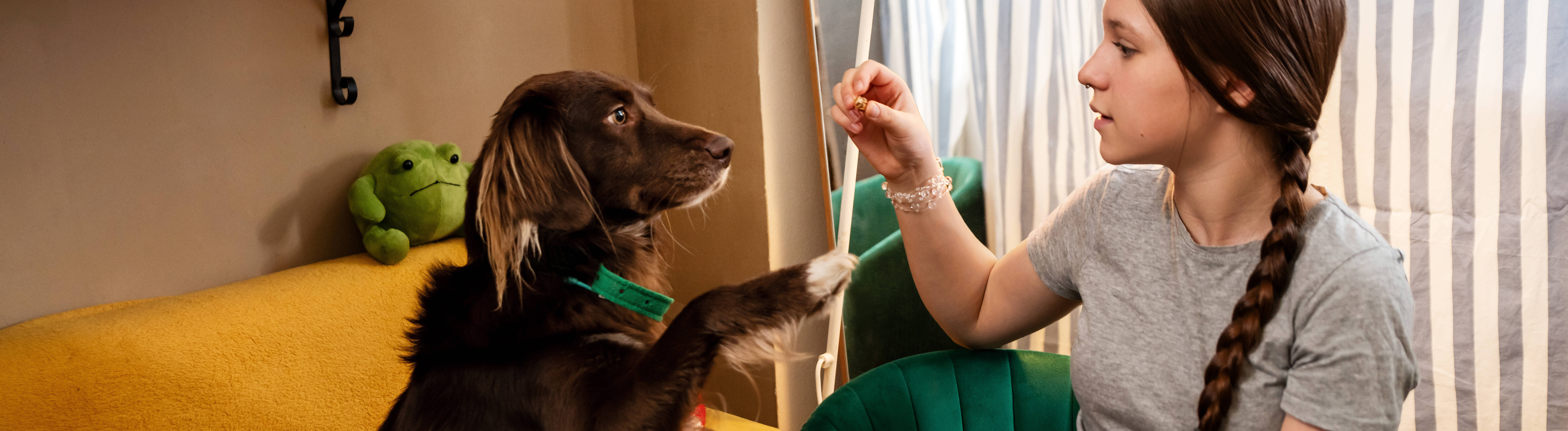 Eine junge Frau hebt den Arm, ihr Hund imitiert sie, indem er die Pfote hebt