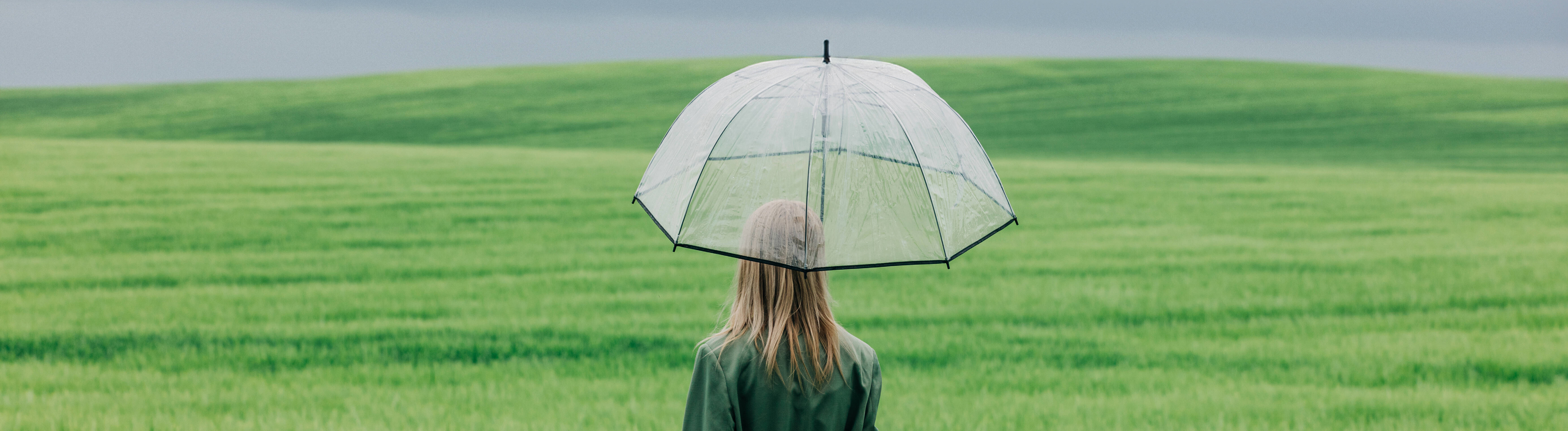 Modellfoto einer Frau, die mit einem durchsichtigen Regenschirm im Regen in einem grünen Weizenfeld steht
