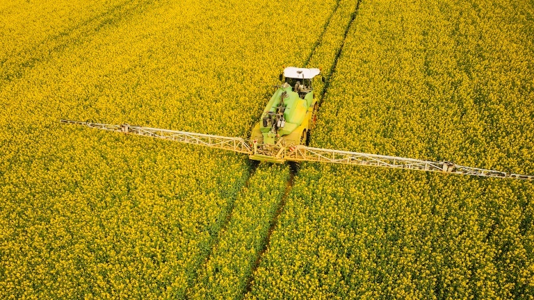 Auf einem Rapsfeld am Rand von Dresden, werden Pflanzenschutzmittel ausgebracht
