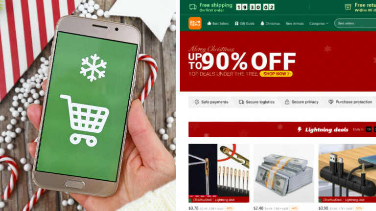 Hand hält Handy mit weißen Warenkorb Zeichen auf grünem Hintergrund / Screenshot temu.com (Collage DLF Nova)