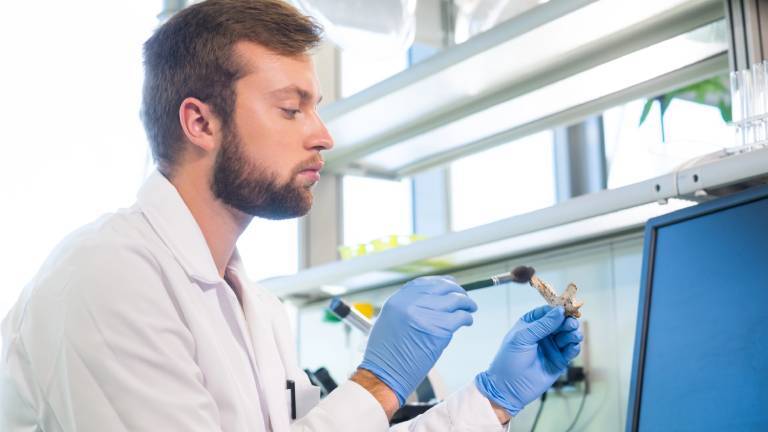 Archäologe arbeitet im Naturforschungslabor.