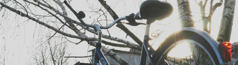 Ein Fahrrad im Gegenlicht