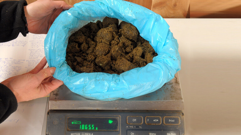 Eine Tierärztin wiegt Pferdekot