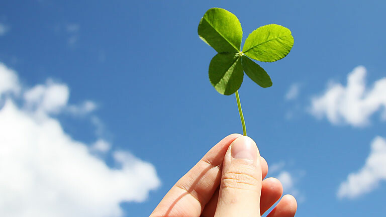 Vierblättriges Kleeblatt vor blauem Himmel